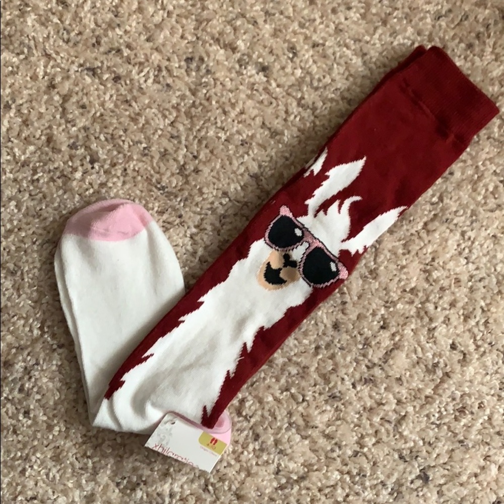 Long socks with llamas on them
